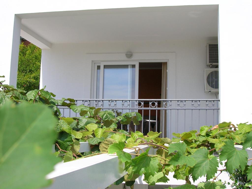 Villa Mila Petrovac Rom bilde