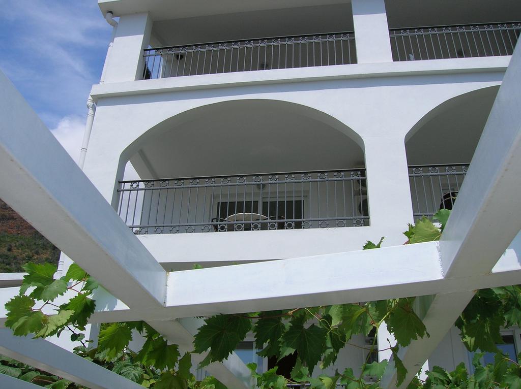Villa Mila Petrovac Rom bilde