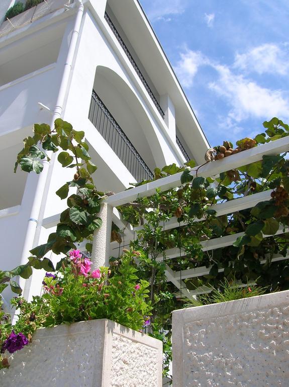 Villa Mila Petrovac Rom bilde